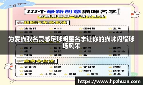 为爱猫取名灵感足球明星名字让你的猫咪闪耀球场风采
